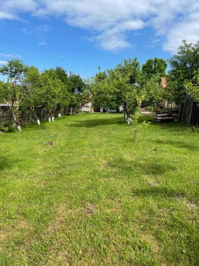 La Mosu Villa Porumbacu de Sus Eksteriør bilde